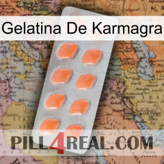 Karmagra Jelly 26